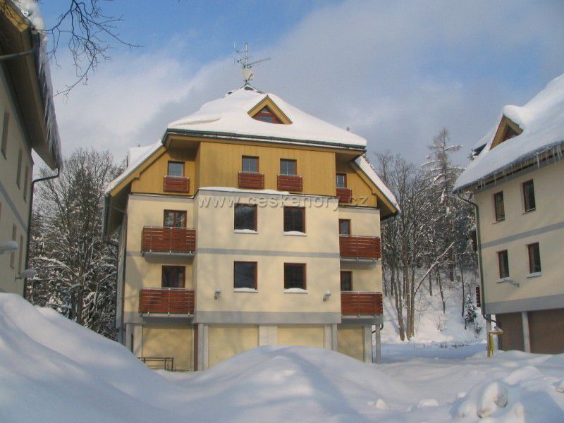 Apartman Maxi Ski