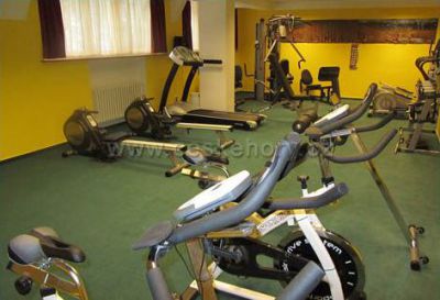 Wellness&Sport Hotel Šumava***, Kašperské Hory