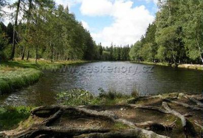 Šumavská chalupa Nad Slatí Nový Svět