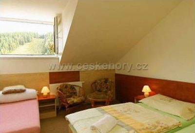 Hotel*** restaurant Švejk