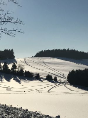Penzion a restaurace Sykovec