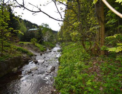 Teepee U Šedého Vlka