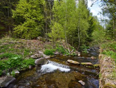 Teepee U Šedého Vlka