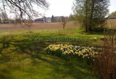 Dolní Morava - Chalupa Červený Potok