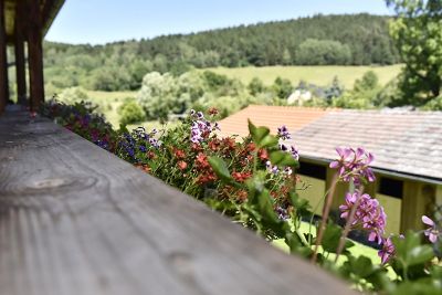 Selský dvůr - apartmány a keramická dílna