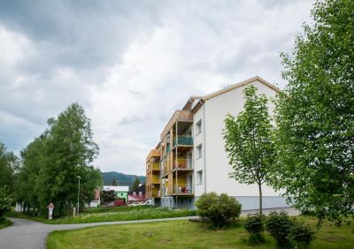 Apartmány Tina a Zdenka - Stožec