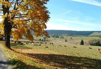 Apartmány Nové Hutě