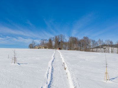 Tree houses Sněžník