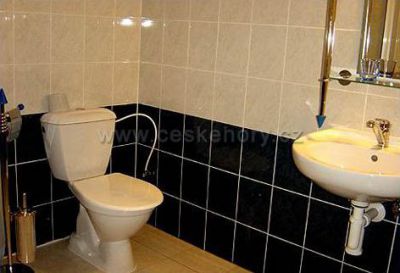 Hotel U tří růží