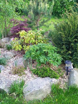 Ubytování u Marušky