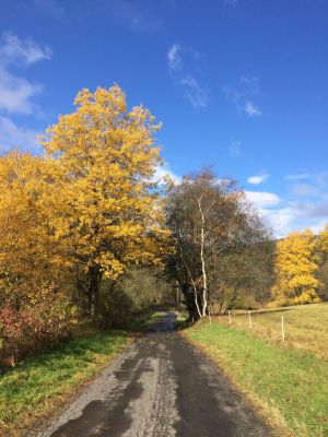 Špičák - U Barabů