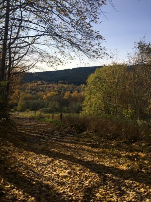 Špičák - U Barabů