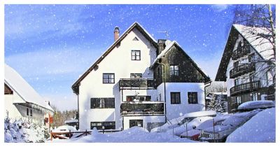 Rodinný penzion U Bernardýna, Harrachov