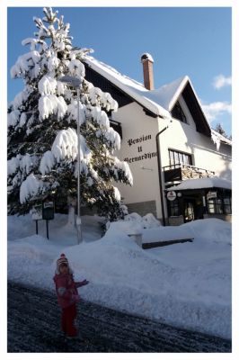 Rodinný penzion U Bernardýna, Harrachov