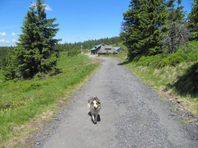 Horský apartmán Jeseníky