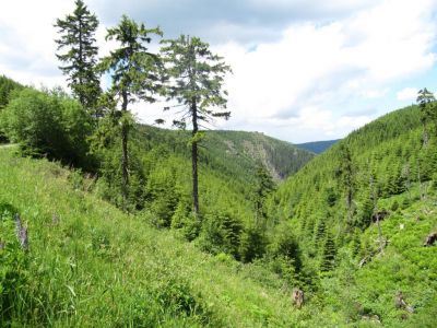 Horský apartmán Jeseníky