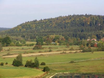 Ubytování pod lipou