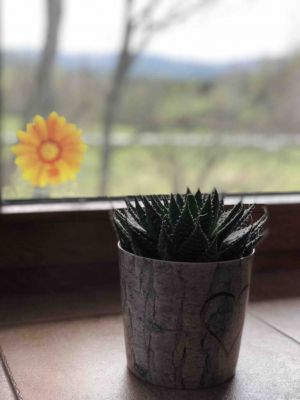 Ubytování Na Mlejně