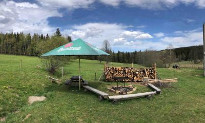 Ubytování Na Mlejně