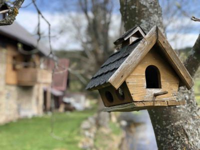 Ubytování Na Mlejně