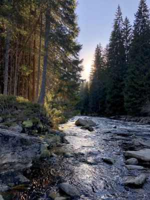 Ubytování Na Mlejně