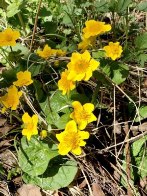 Ubytování Na Mlejně