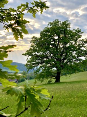 Ubytování Na Mlejně