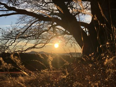 Ubytování Na Mlejně