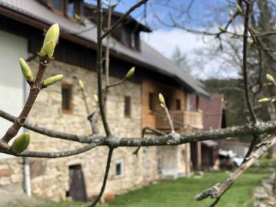 Ubytování Na Mlejně