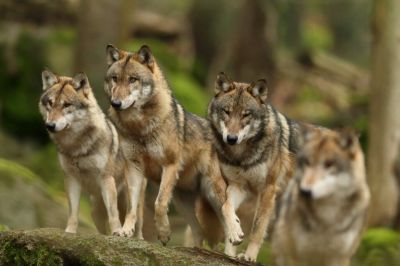 Ubytování Na Mlejně