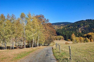 Chalupa Nová Seninka