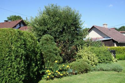 Ubytování Žďárské vrchy