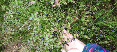 Ubytování U Hřiště Tisá