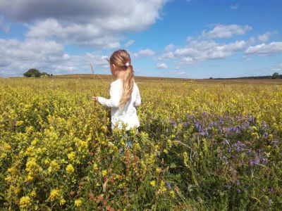 Ubytování U Hřiště Tisá