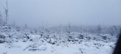 Ubytování U Hřiště Tisá