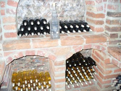 Ubytovaní ve sklípku