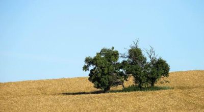 Ubytování v ráji - Sedmihorky