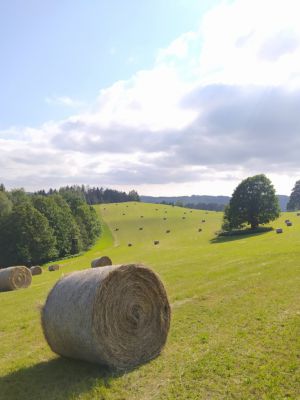 Turistická ubytovna Paseky