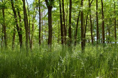 Turistická ubytovna Paseky