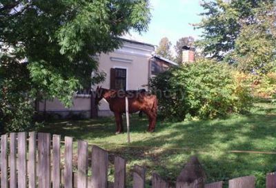 Hostinec u dogy