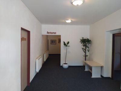 Penzion a restaurace U Dubu