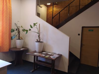 Penzion a restaurace U Dubu