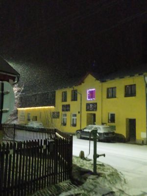 Penzion a restaurace U Dubu