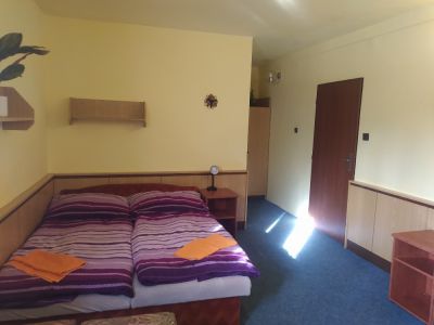 Penzion a restaurace U Dubu