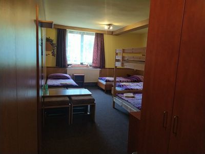 Penzion a restaurace U Dubu