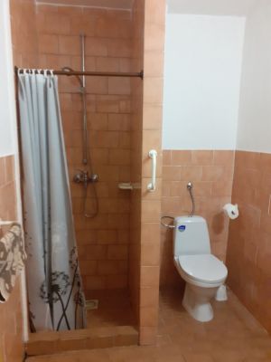 Penzion a restaurace U Dubu