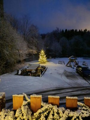 Penzion a restaurace U Dubu