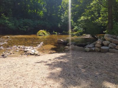 Penzion a restaurace U Dubu