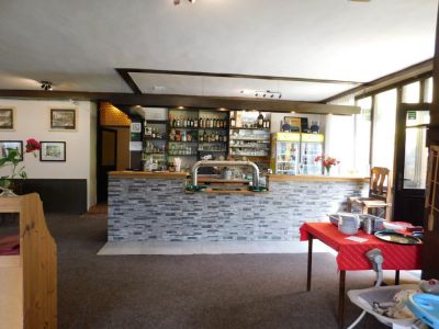 Penzion a restaurace U Dubu