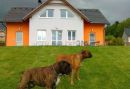Apartmá u dvou boxerů
